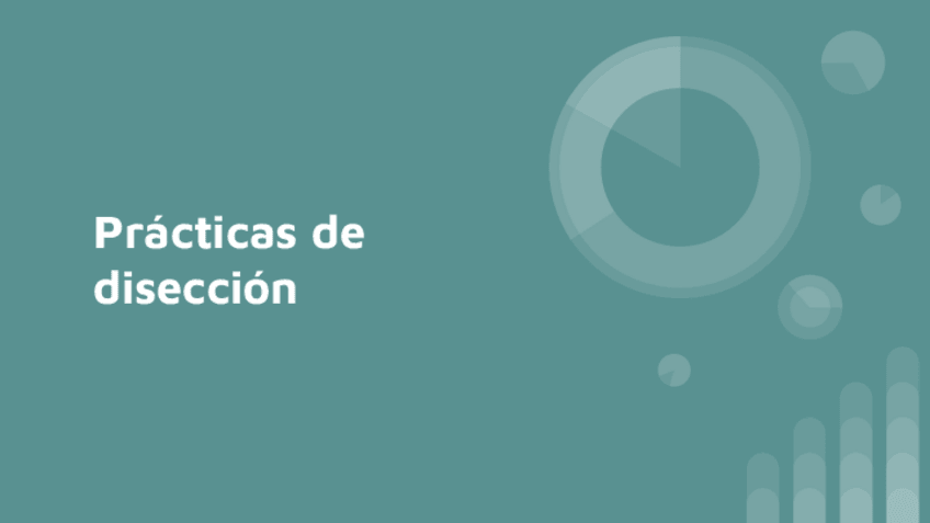 Miniatura del documento Practicas-de-diseccion.pdf