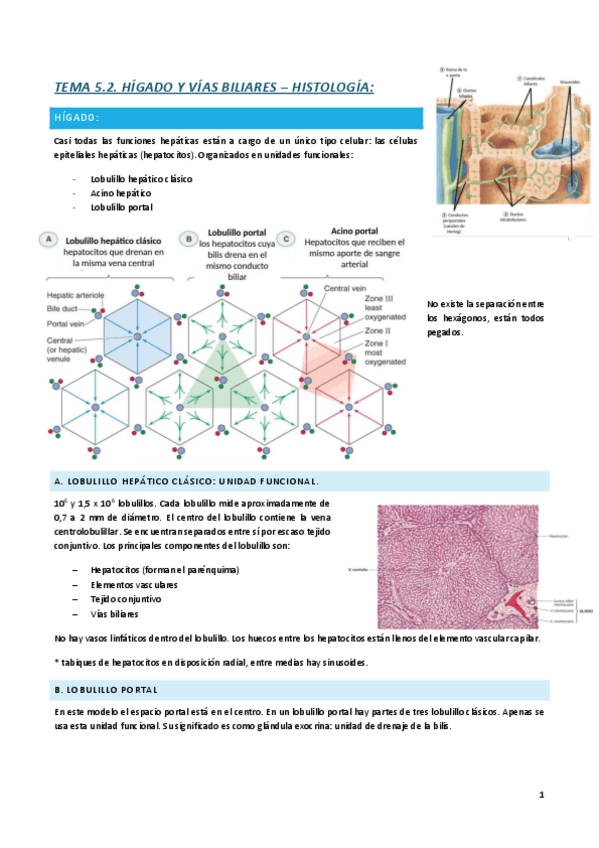 Miniatura del documento DIGESTIVO-T5.2.pdf