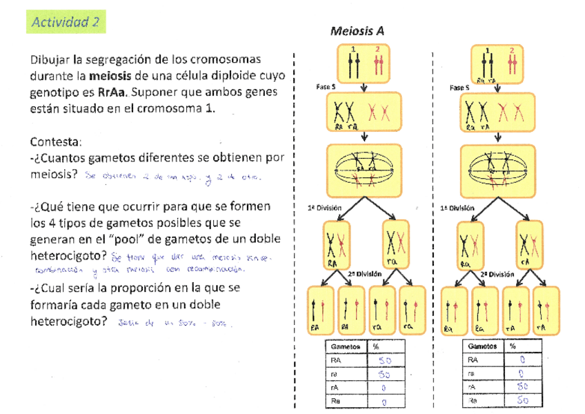 Miniatura del documento Actividad-2-Tema-6.pdf