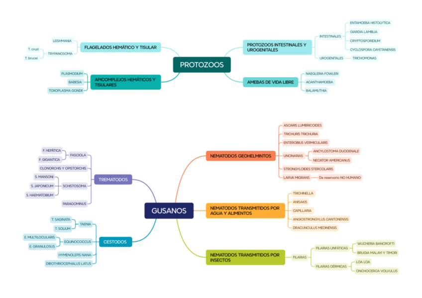 Miniatura del documento mapa-conceptual-micro-3o-parcial.pdf