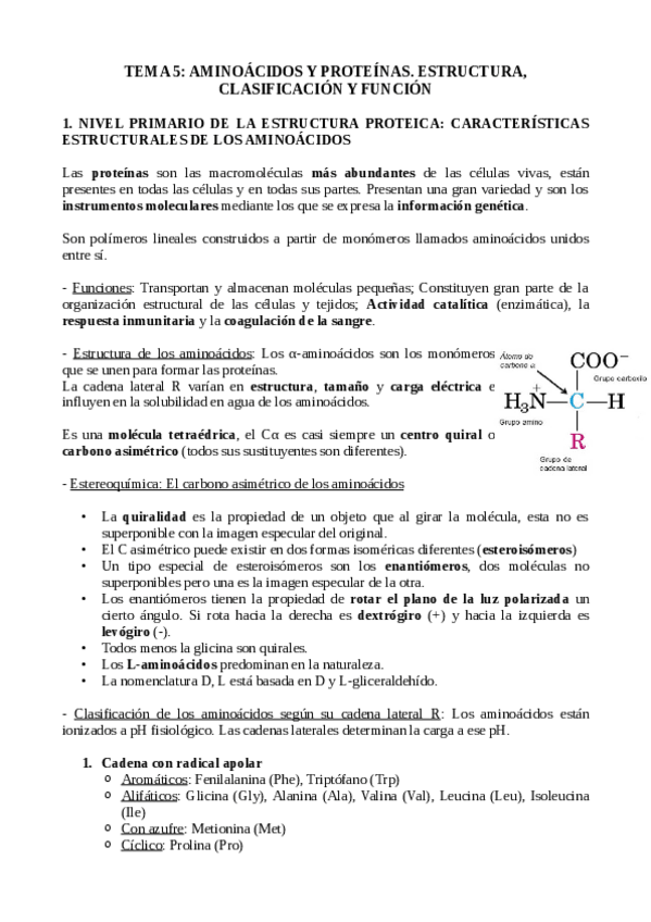 Miniatura del documento TEMA-5.-PROTEINAS.pdf