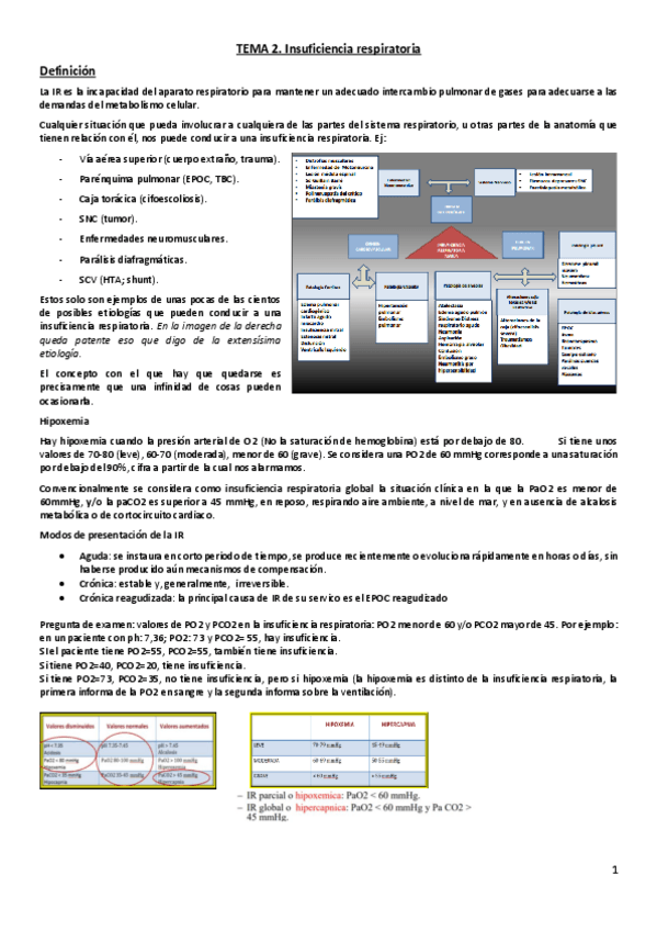 Miniatura del documento Tema 2. Insuficiencia respiratoria.pdf