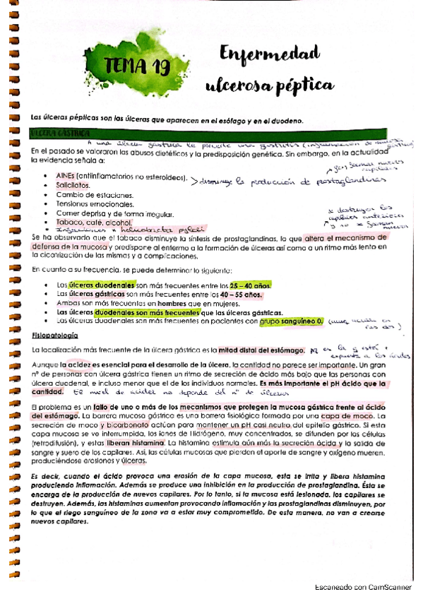 Miniatura del documento TEMA-19-ENFERMEDAD-ULCEROSA-PEPTICA.pdf