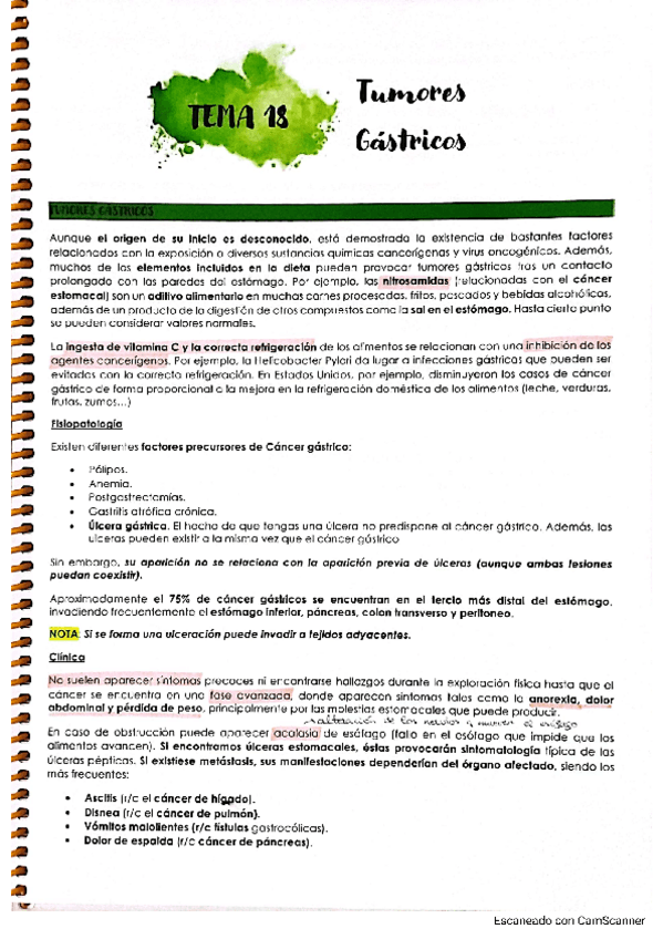 Miniatura del documento TEMA-18-TUMORES-GASTRICOS.pdf