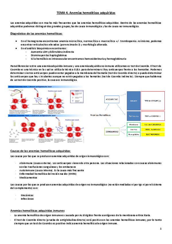 Miniatura del documento Tema 4. Anemias hemolíticas adquiridas.pdf