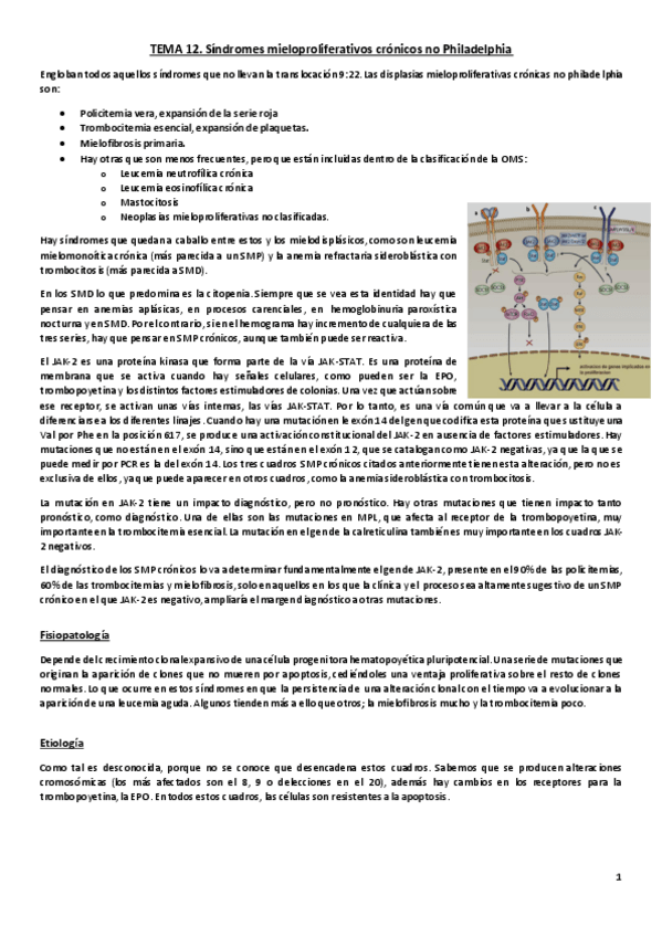 Miniatura del documento Tema 12. SMP crónicos no Philadelphia.pdf