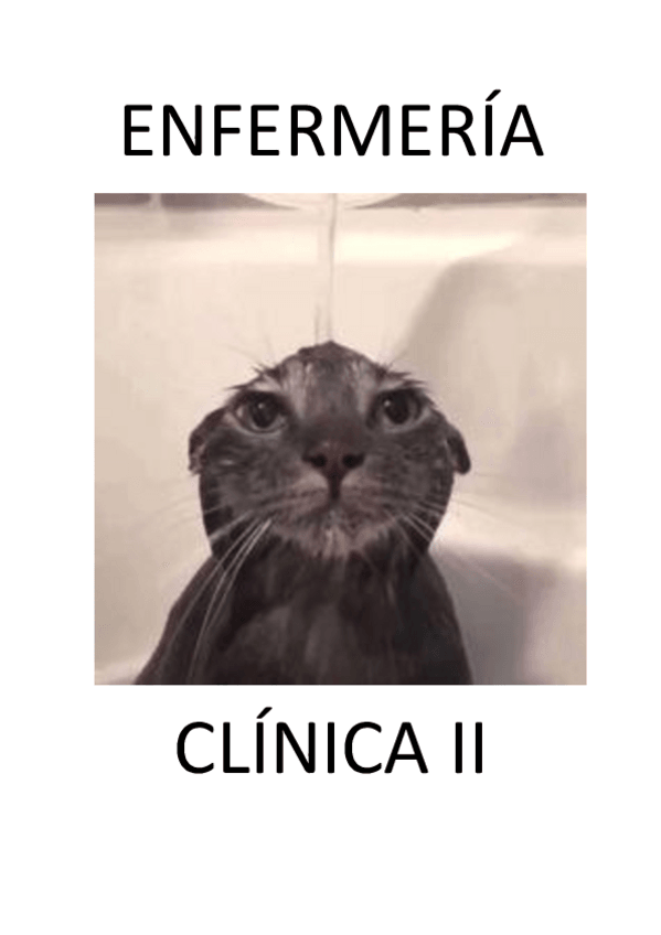 Miniatura del documento Enfermeria-clinica-II.pdf
