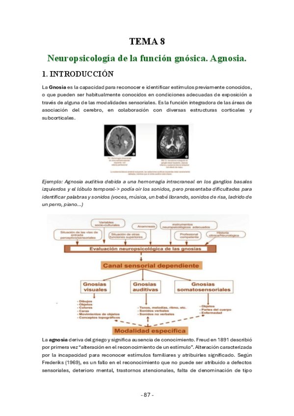 Miniatura del documento Neuropsicologia-general-tema-8-actualizados-curso-23-24.pdf