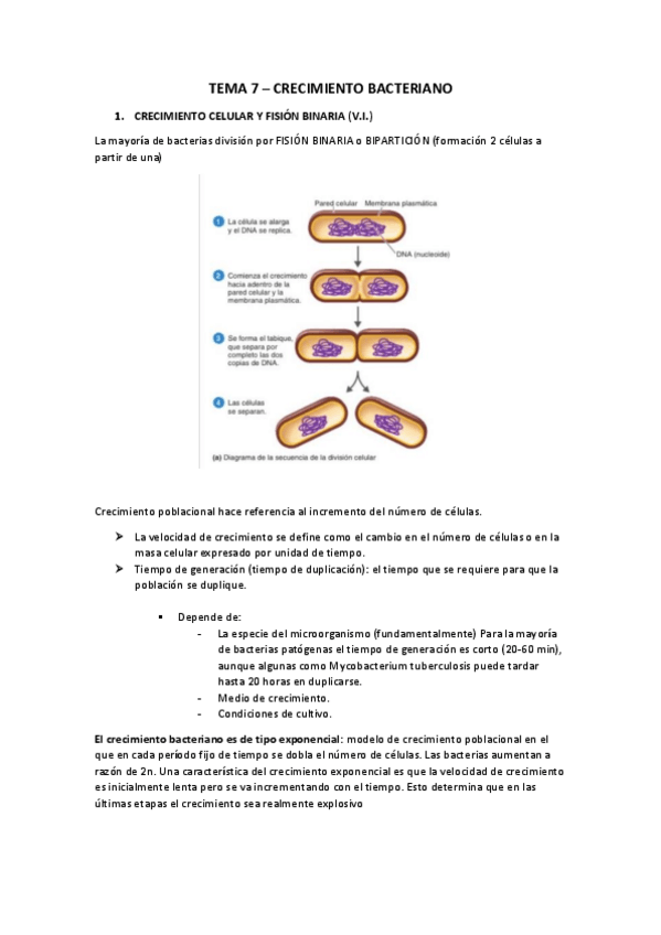 Miniatura del documento TEMA-7.pdf