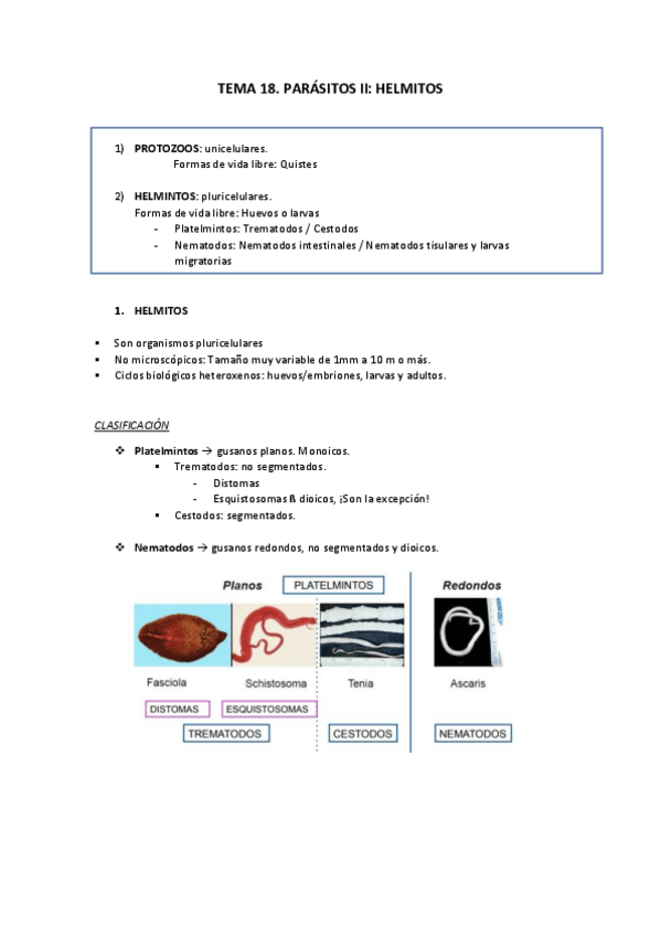 Miniatura del documento TEMA-18.pdf