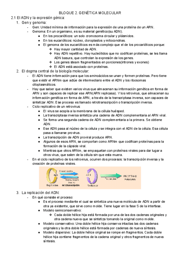 Miniatura del documento BLOQUE-2-GENETICA-MOLECULAR.pdf