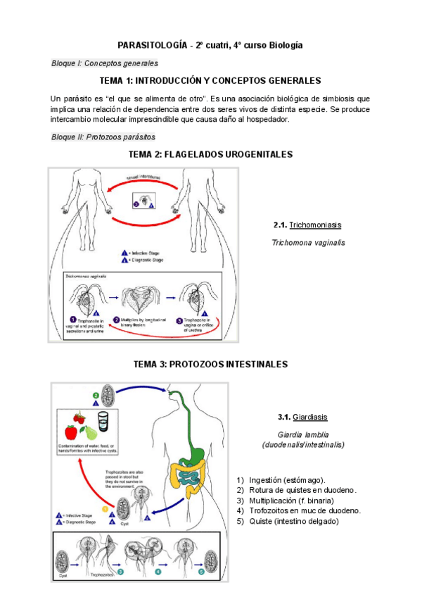 Miniatura del documento Ciclos biológicos (parasito).pdf