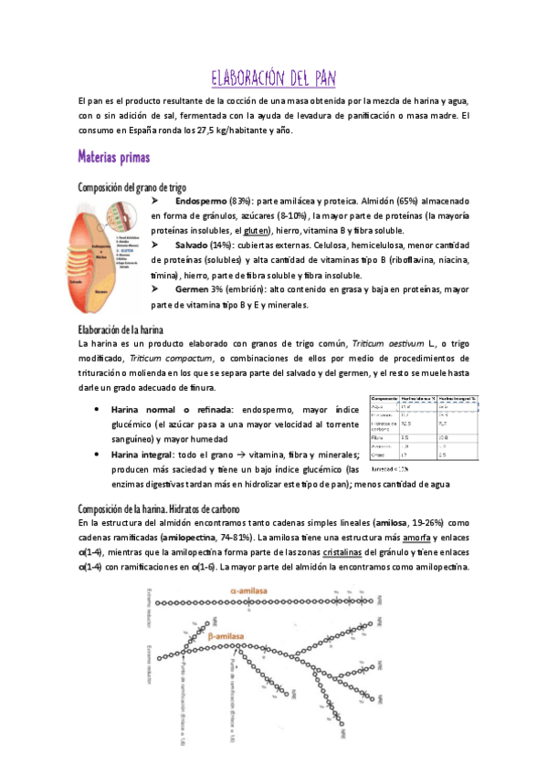 Miniatura del documento Tema-6-BALIM-PAN.pdf