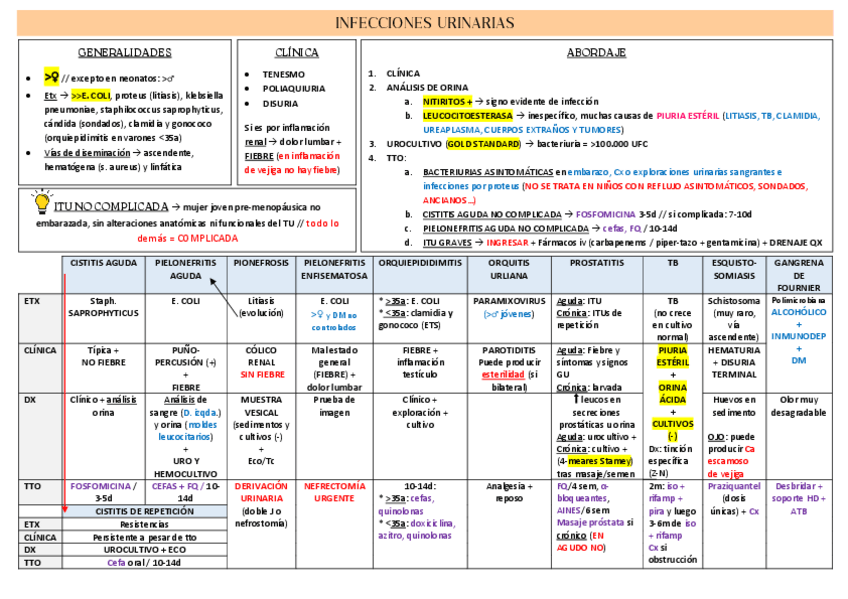 Miniatura del documento INFECCIONES-URINARIAS.pdf