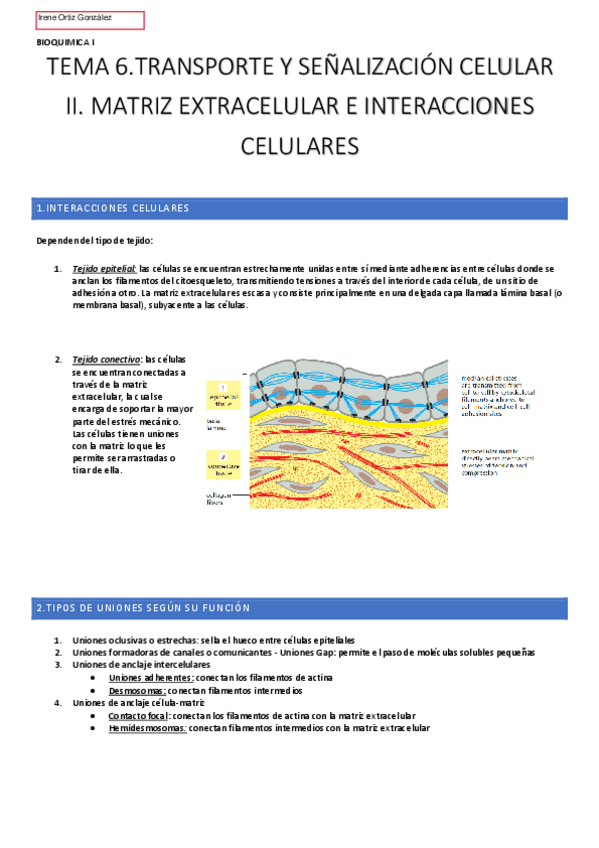 Miniatura del documento TEMA-6-BIOQUIMICA-n.pdf