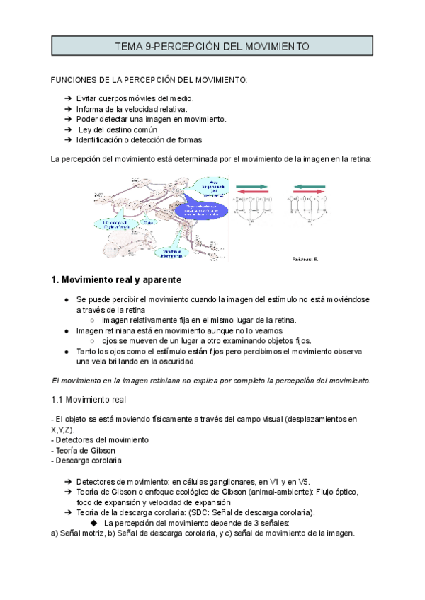 Miniatura del documento TEMA-9-PERCEPCION-DEL-MOVIMIENTO-2.pdf