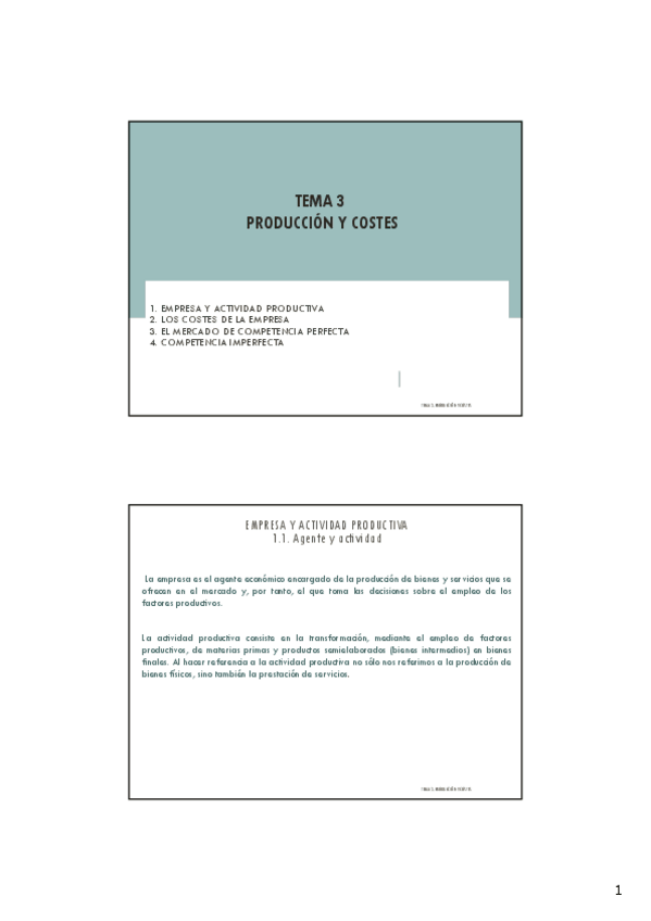Miniatura del documento TEMA-3-ECONOMIA.pdf