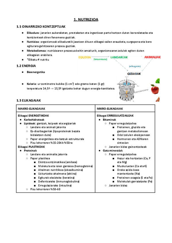Miniatura del documento 01.-NUTRIZIOA.pdf