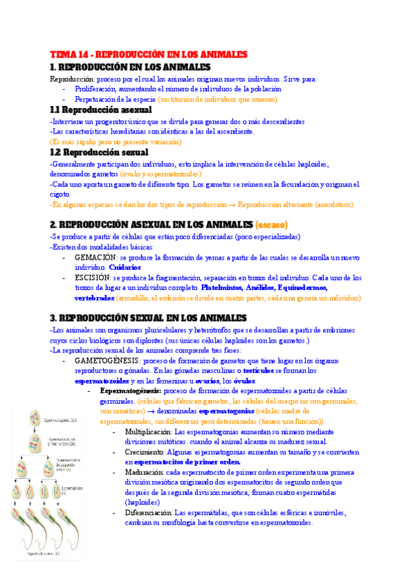 Miniatura del documento TEMA-14-REPRODUCCION-EN-LOS-ANIMALES.pdf