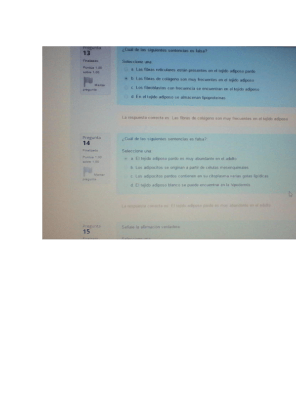 Miniatura del documento Documento1.pdf