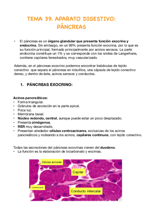 Miniatura del documento T39.-Pancreas.pdf
