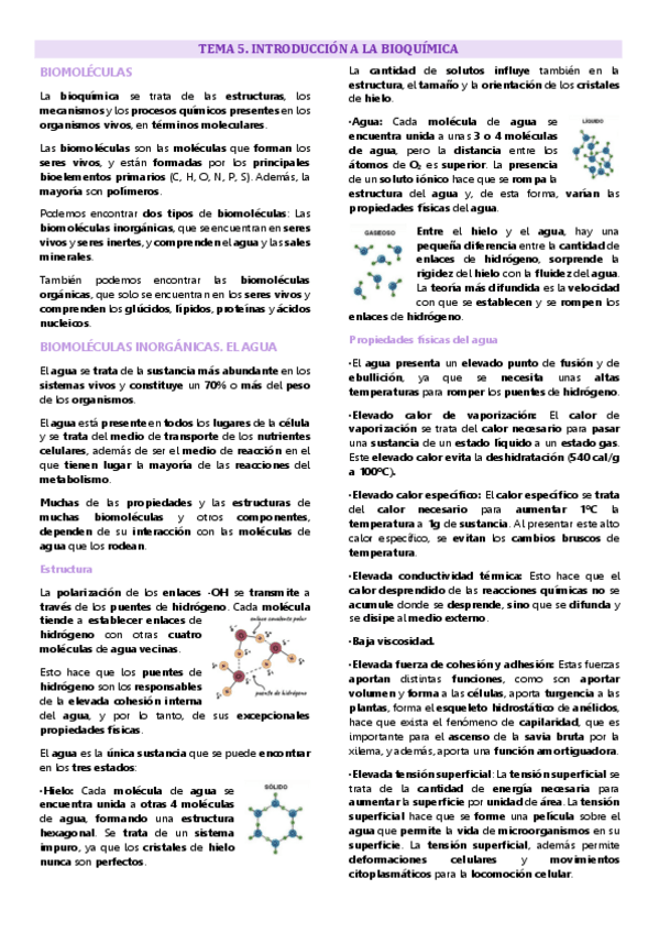 Miniatura del documento Tema 5 química biomolecular, Introducción a la bioquímica, agua y sales minerales.pdf