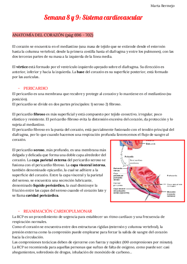Miniatura del documento Semana 8 y 9. Sistema cardiovascular.pdf
