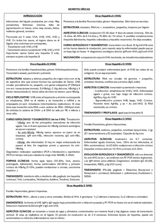 Miniatura del documento HEPATITIS-VIRICAS.pdf