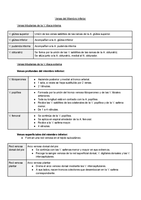 Miniatura del documento Venas-del-MMII.pdf