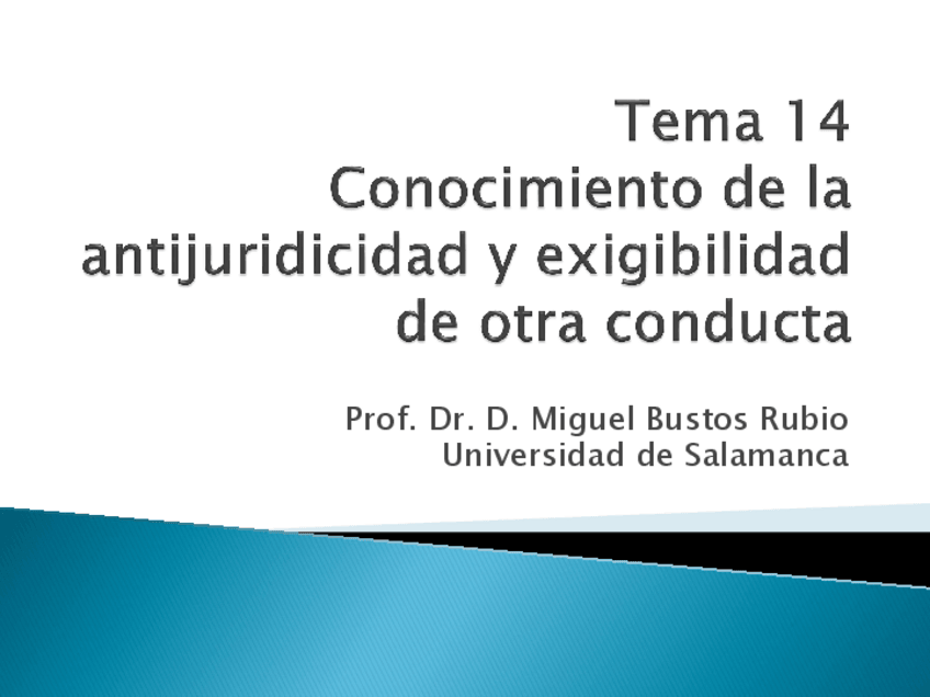 Miniatura del documento Tema-15-Conocimiento-de-la-antijuridicidad-y-exigibilidad.pdf