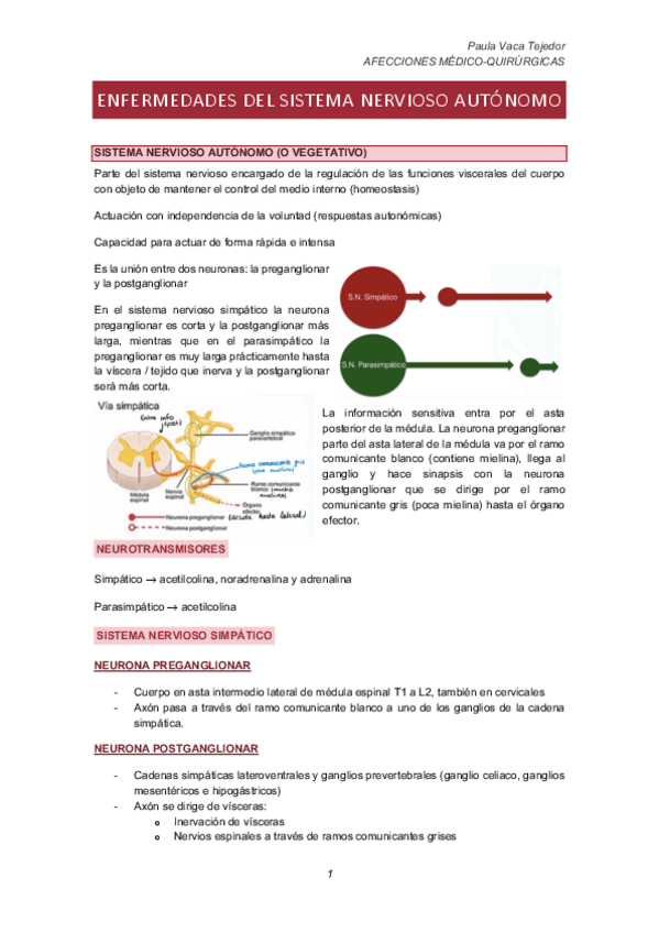 Miniatura del documento ENFERMEDADES-DEL-SISTEMA-NERVIOSO-AUTONOMO.pdf
