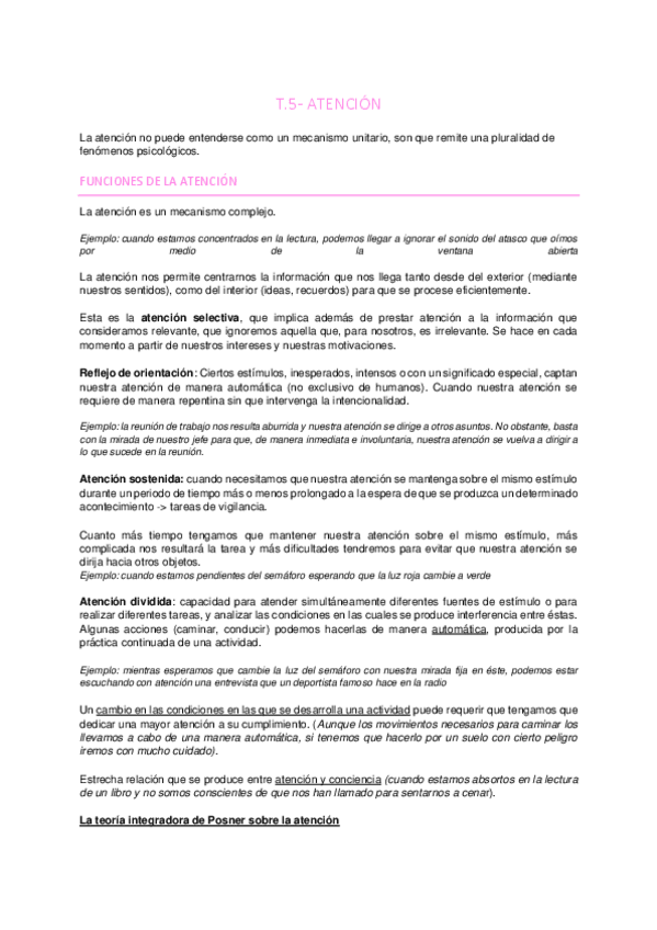 Miniatura del documento Atencio.pdf