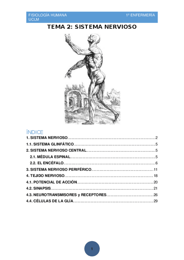 Miniatura del documento TEMA-2-SISTEMA-NERVIOSO-Y-CELULAS-NERVIOSAS.docx
