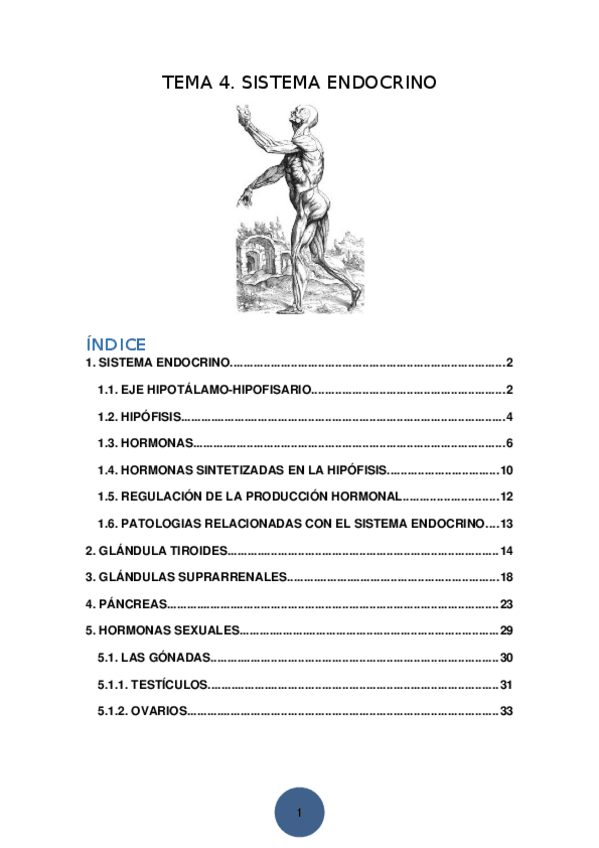 Miniatura del documento TEMA-4-SISTEMA-ENDOCRINO.docx