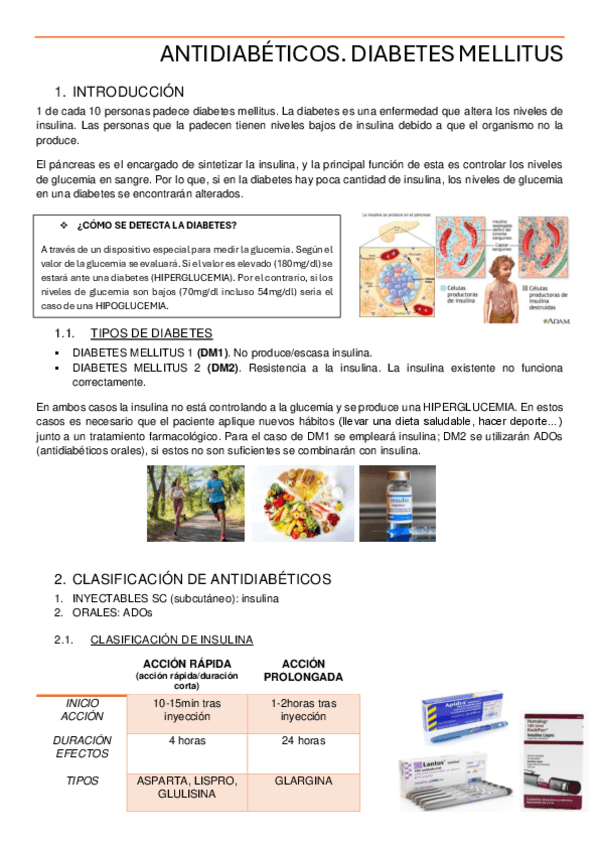 Miniatura del documento ANTIDIABETICOS-VIRGINIO.pdf