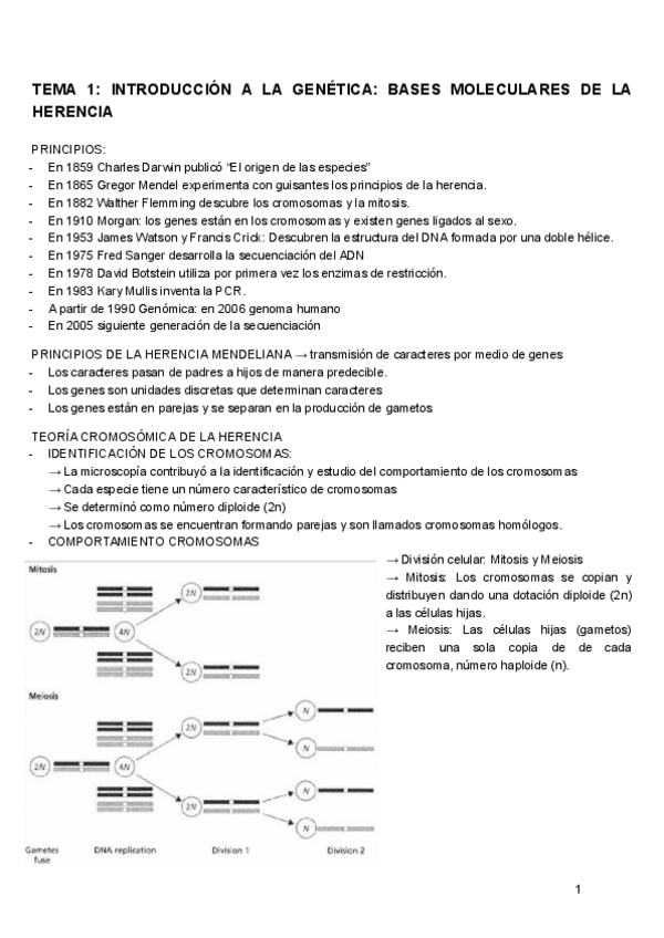 Miniatura del documento GENETICA-TEMA-1.pdf