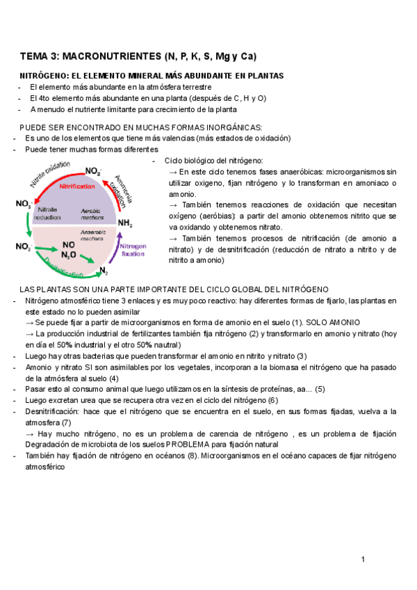 Miniatura del documento TEMA-3-F.VEGETAL.pdf