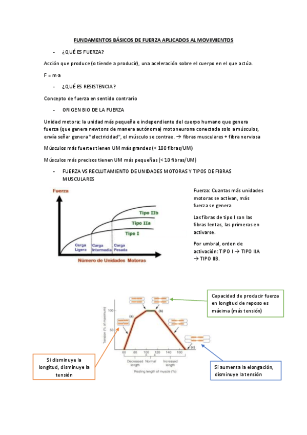 Miniatura del documento FUNDAMENTOS-DE-FUERZA.pdf