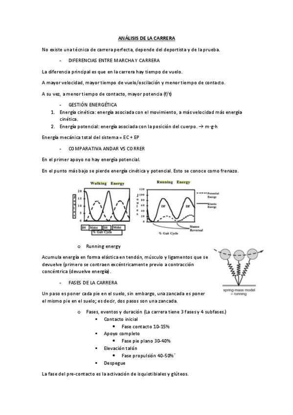 Miniatura del documento ANALISIS-DE-CARRERA.pdf