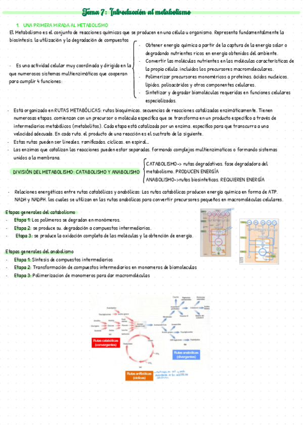 Miniatura del documento Bioquimica-T7.pdf