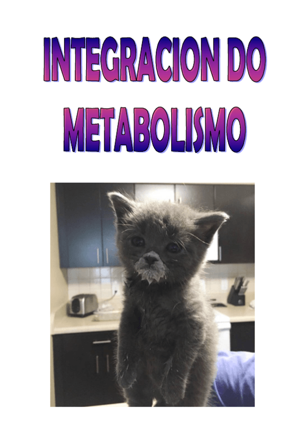 Miniatura del documento apuntes-de-metabolismo-COMPLETOS.pdf