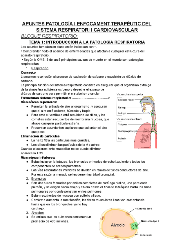 Miniatura del documento apuntes-cardiorrespi-completos.pdf