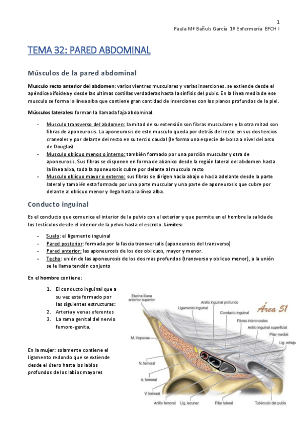 Miniatura del documento -TEMA-32-Pared-Abdominal.pdf