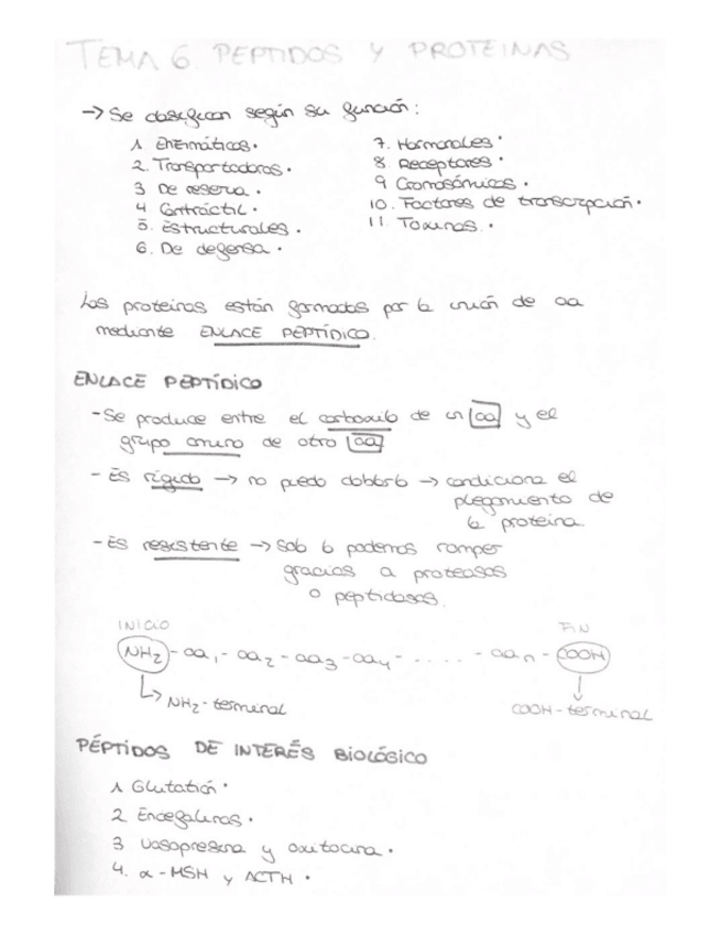 Miniatura del documento Tema-6.pdf