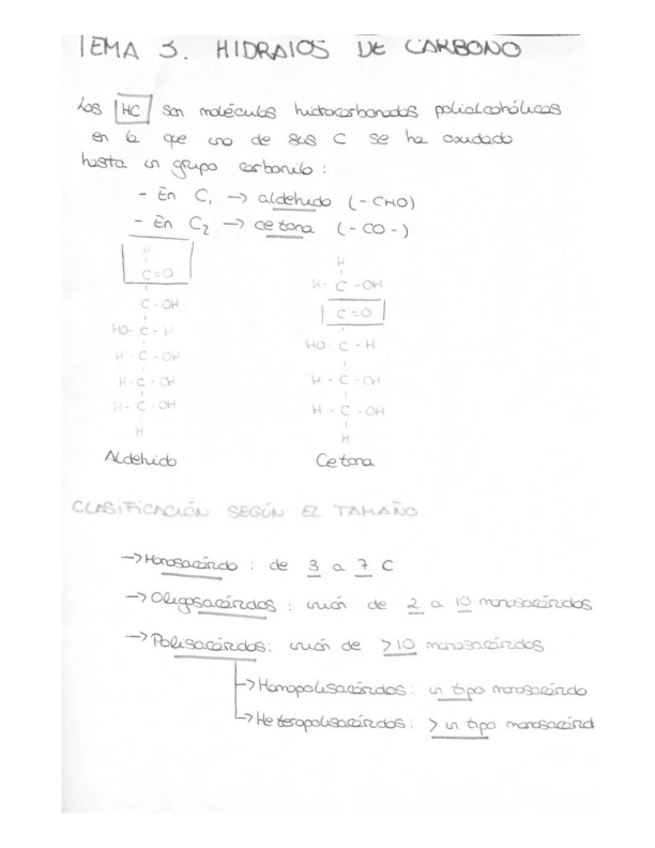 Miniatura del documento Tema-3.pdf