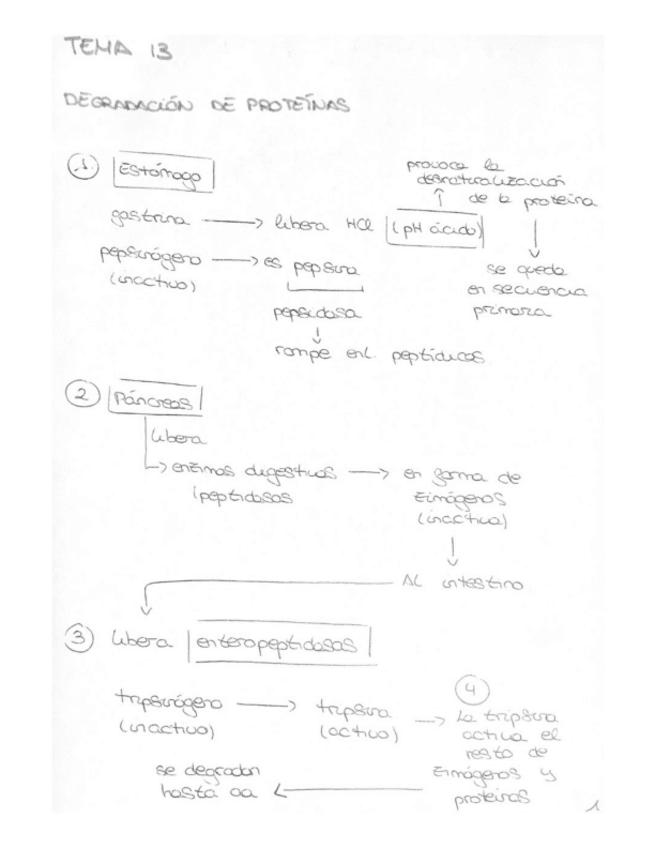 Miniatura del documento Tema-13.pdf