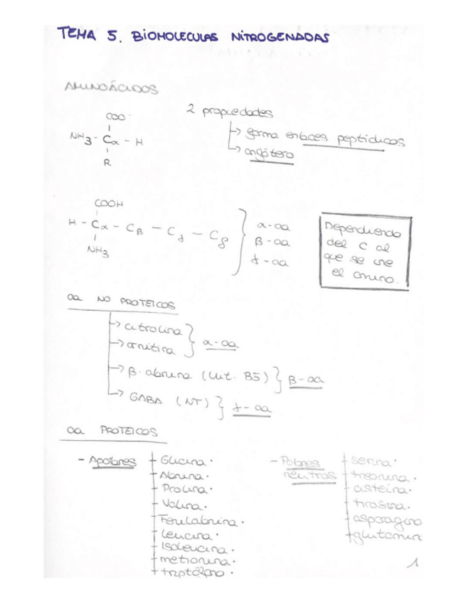 Miniatura del documento Tema-5.pdf