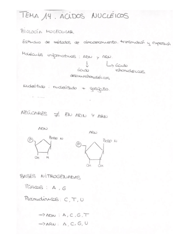 Miniatura del documento Tema-14.pdf