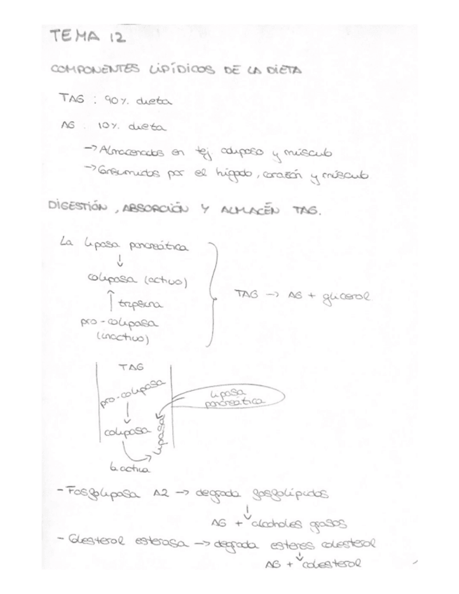 Miniatura del documento Tema-12.pdf