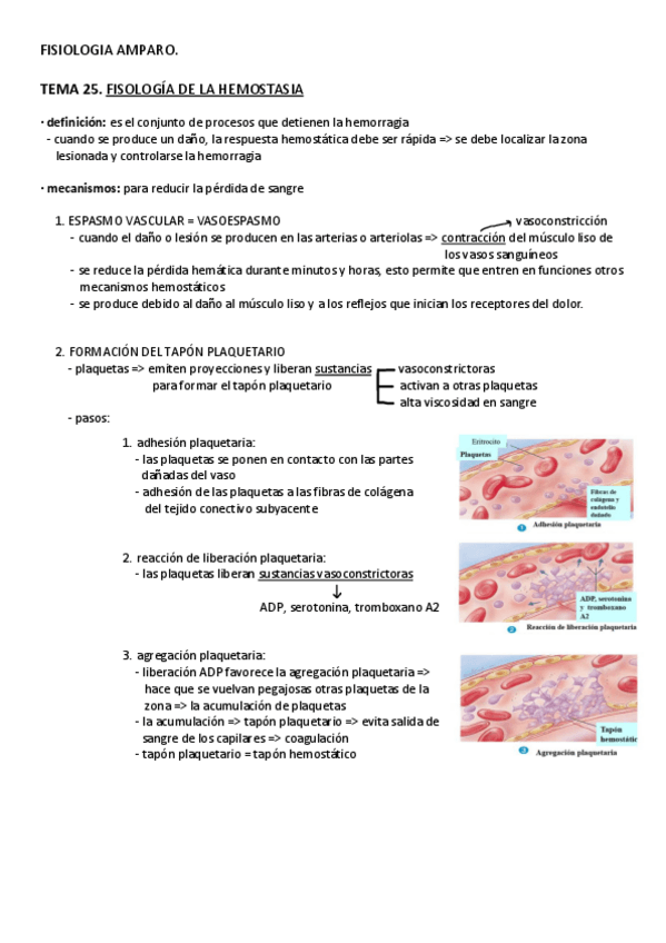 Miniatura del documento TEMA-25-hemostasia.pdf